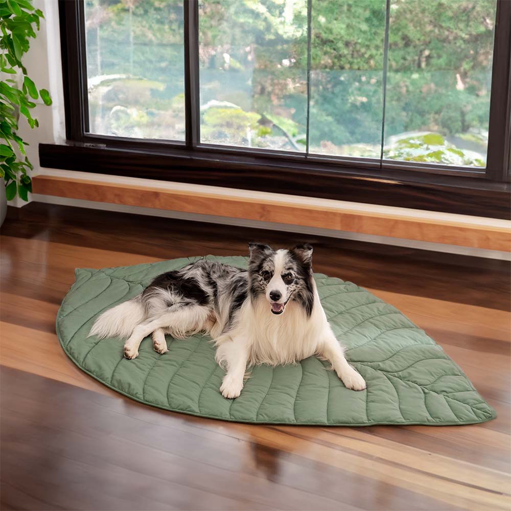 Large Dog Blanket Mat