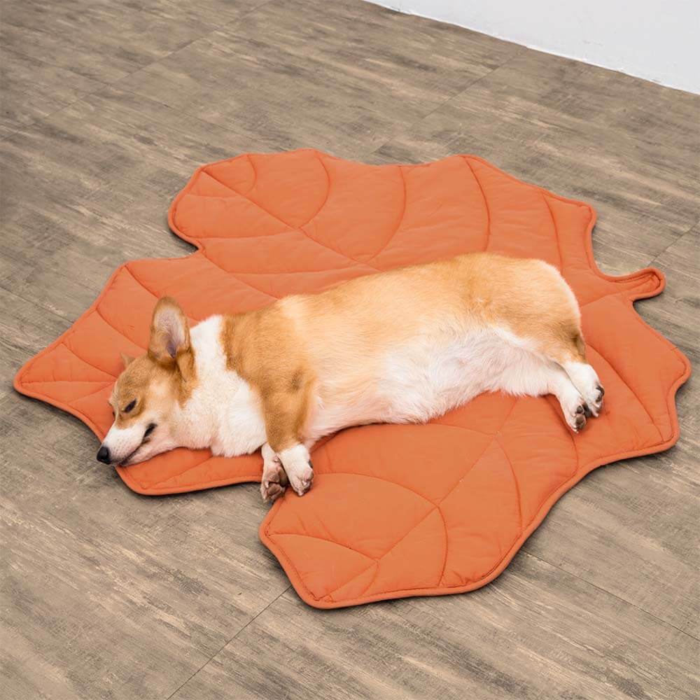 Large Dog Blanket Mat