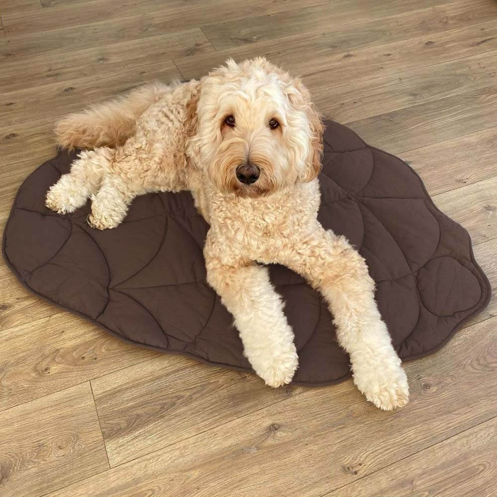Large Dog Blanket Mat