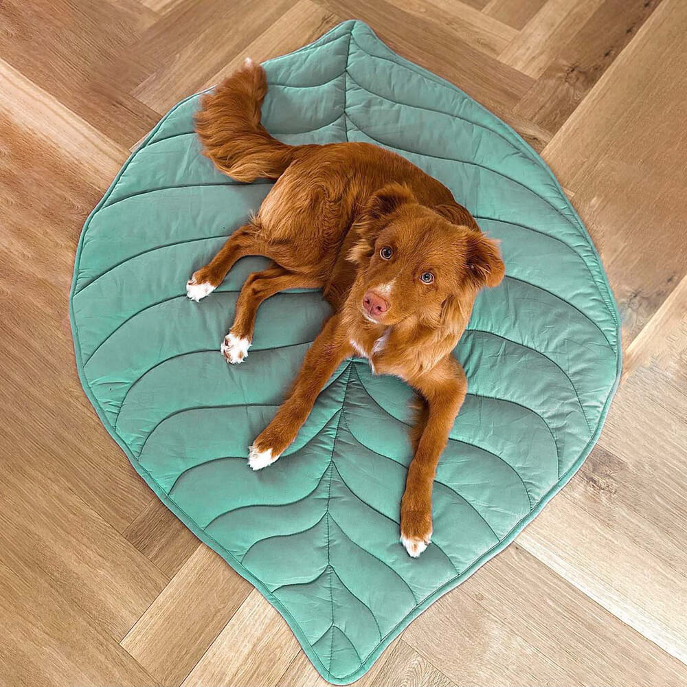 Large Dog Blanket Mat