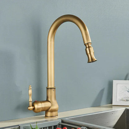 Kitchen Faucet Swivel Spout