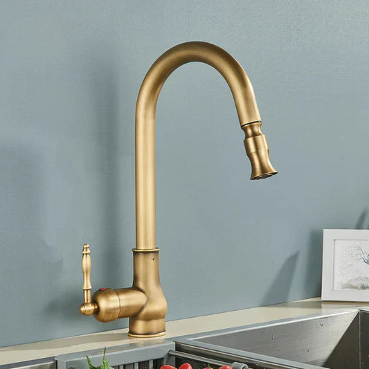 Kitchen Faucet Swivel Spout