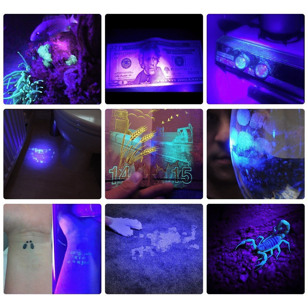 21 LED UV Pocket Lamp