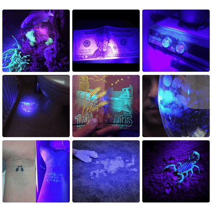 21 LED UV Pocket Lamp