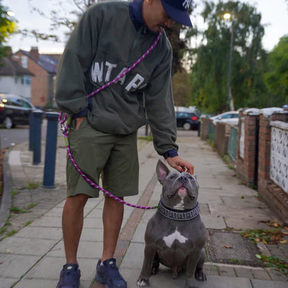 Hands-Free Dog Leash Adjustable Belt Attachment