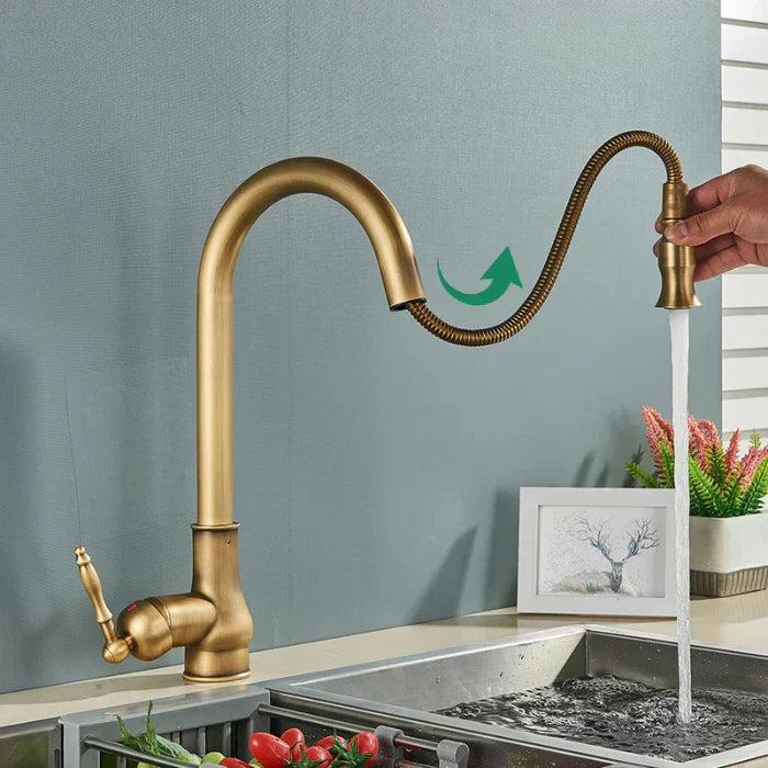 Kitchen Faucet Swivel Spout