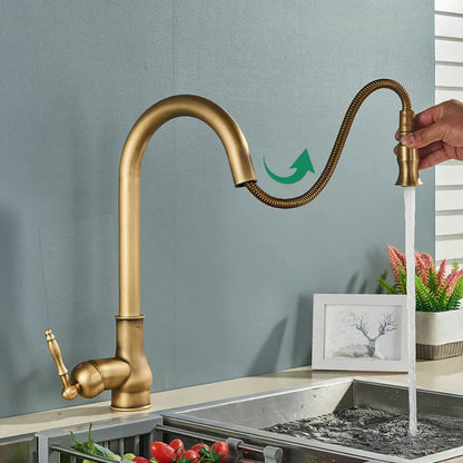 Kitchen Faucet Swivel Spout
