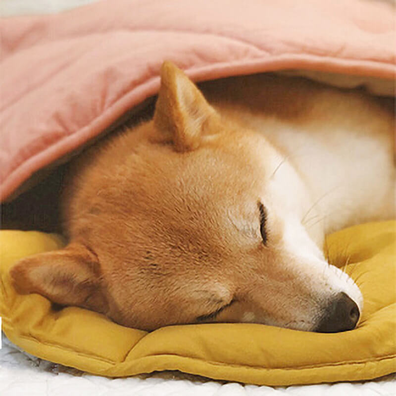 Large Dog Blanket Mat