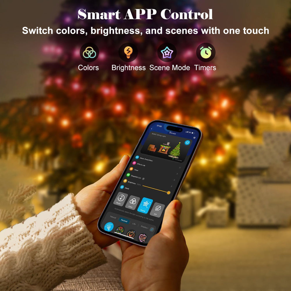 LED Outdoor Christmas Lights Smart Control Decoration