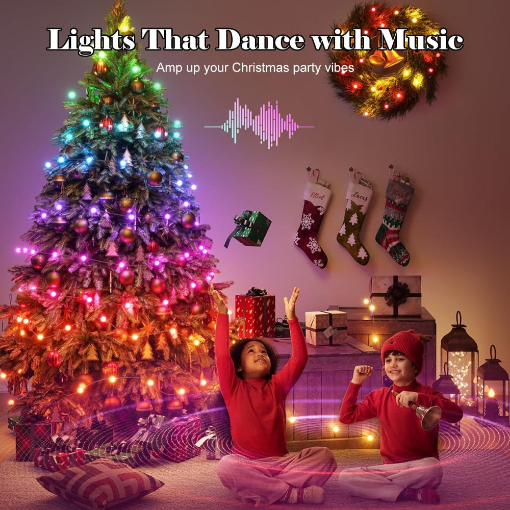 LED Outdoor Christmas Lights Smart Control Decoration