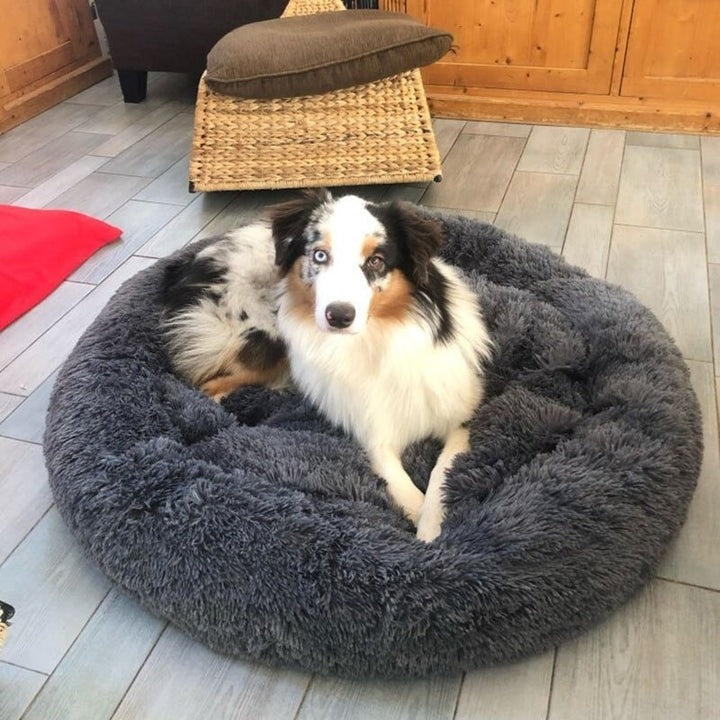 Calming Dog Bed Circular Removable Cover