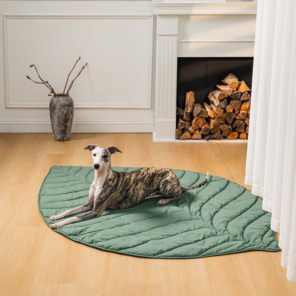 Large Dog Blanket Mat