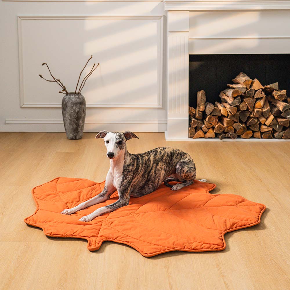 Large Dog Blanket Mat