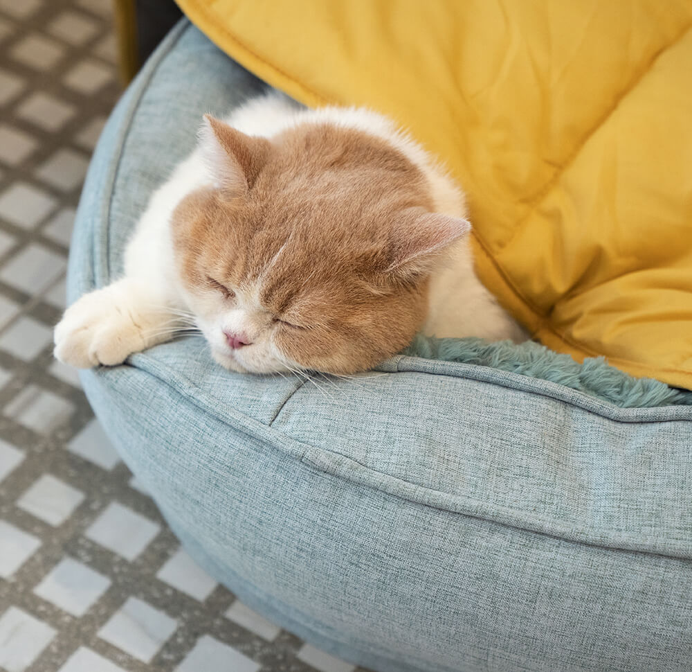 Large Dog Blanket Mat