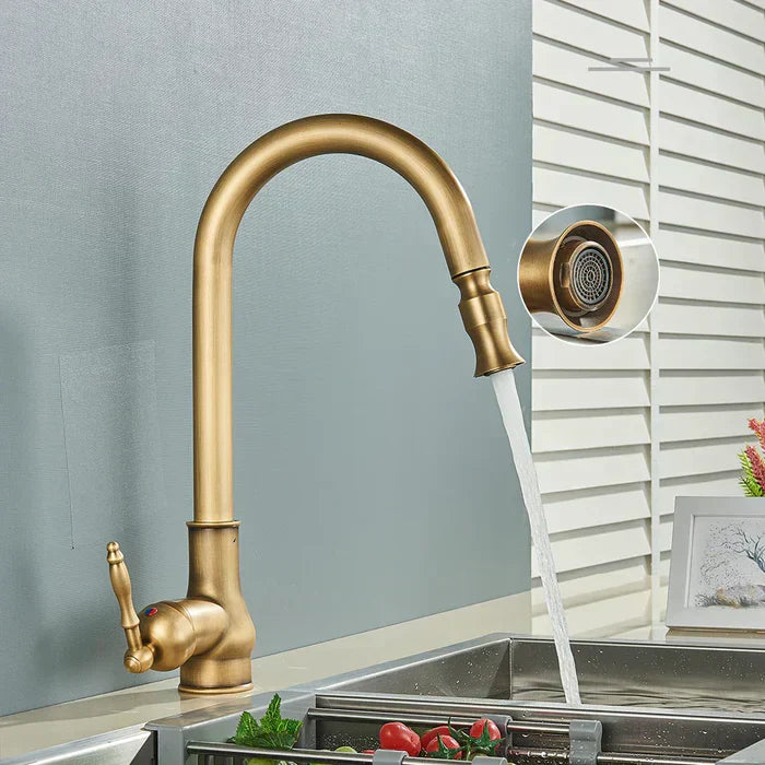 Kitchen Faucet Swivel Spout