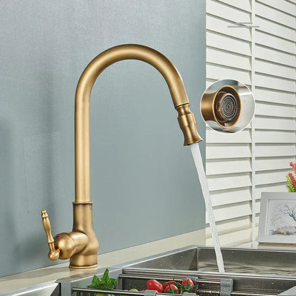 Kitchen Faucet Swivel Spout