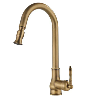 Kitchen Faucet Swivel Spout