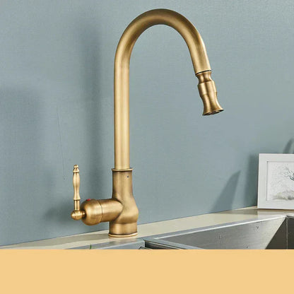 Kitchen Faucet Swivel Spout