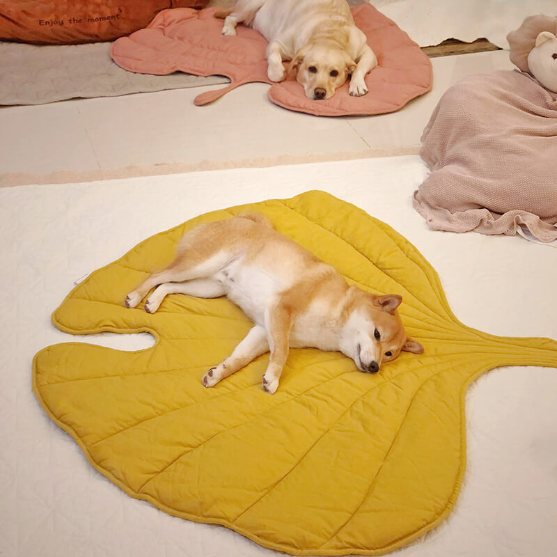 Large Dog Blanket Mat