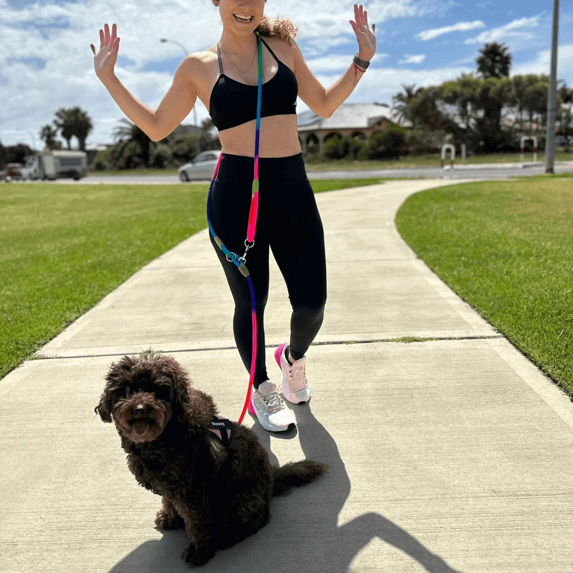 Hands-Free Dog Leash Adjustable Belt Attachment