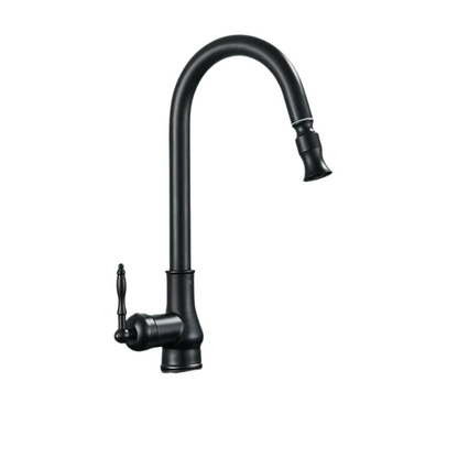 Kitchen Faucet Swivel Spout