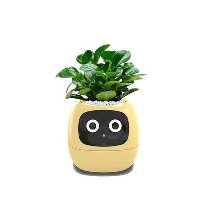 Smart Self-Watering Indoor Plant Pot Planter for Home Office
