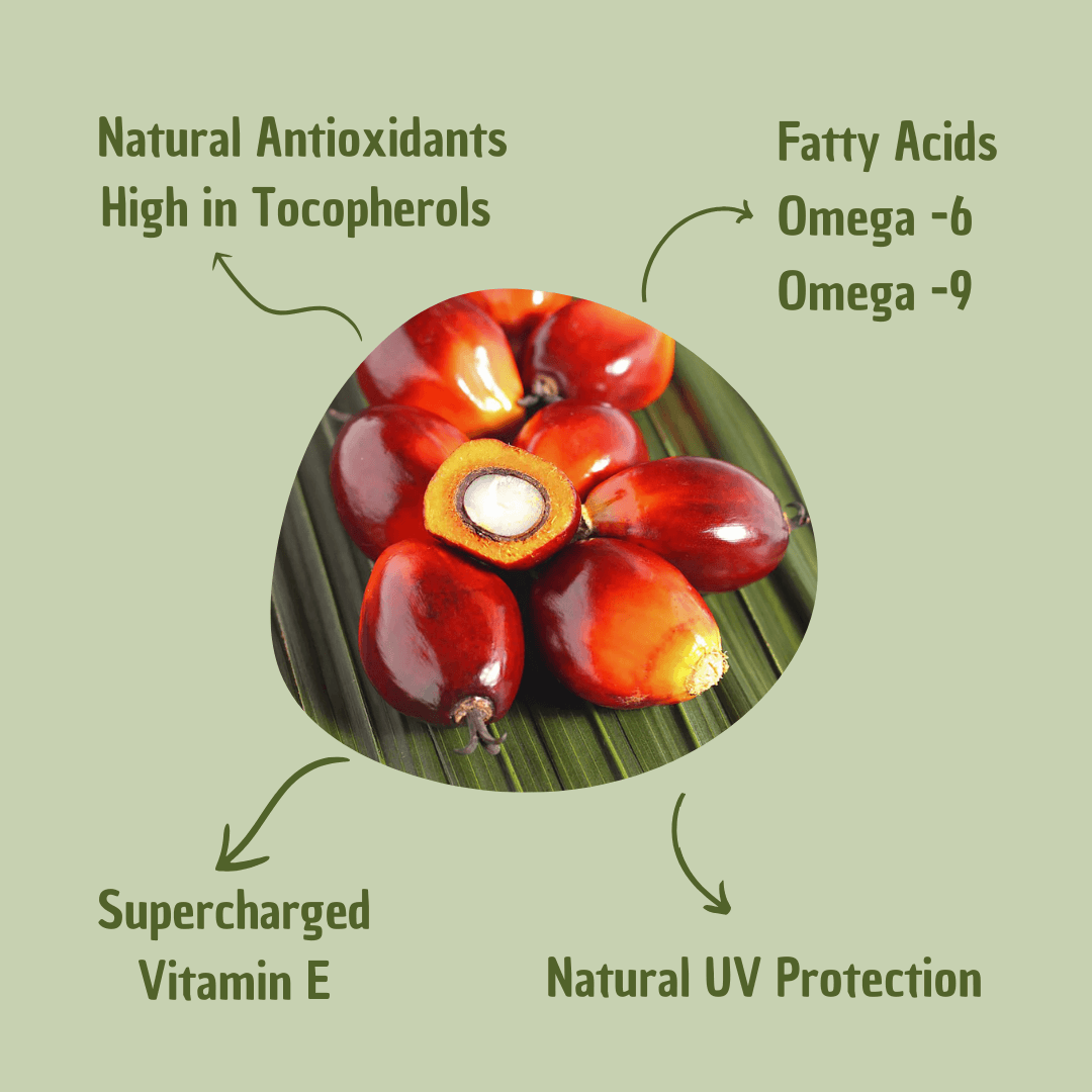 Batana Hair Oil Eco-Friendly Hair Care Product