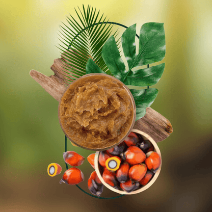 Batana Hair Oil Eco-Friendly Hair Care Product