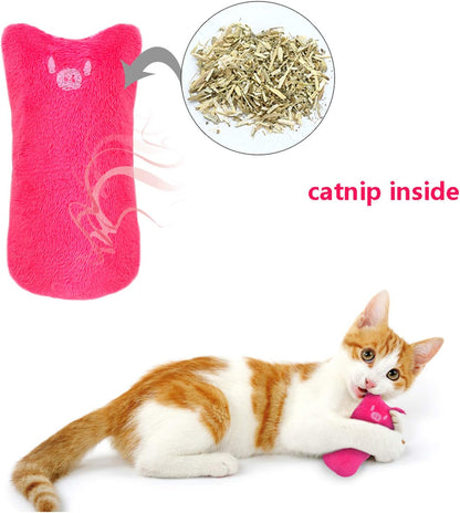 Catnip Mice Toys for Cats 5 Pack Chew Teething Toys