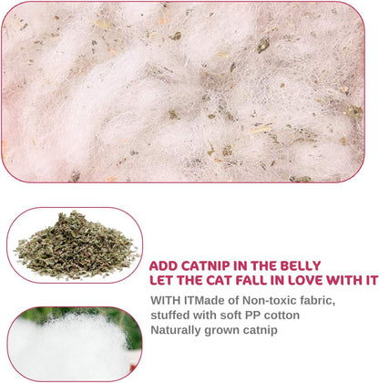 Catnip Mice Toys for Cats 5 Pack Chew Teething Toys