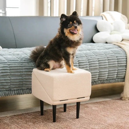 Dog Ramp Step Stool 2-in-1 Convertible