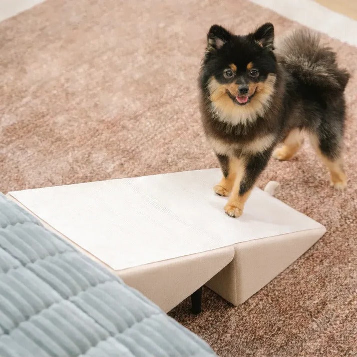 Dog Ramp Step Stool 2-in-1 Convertible