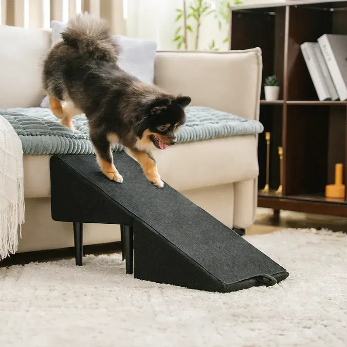 Dog Ramp Step Stool 2-in-1 Convertible