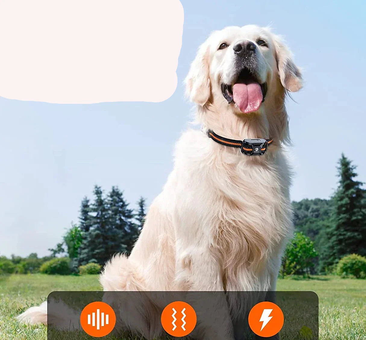 Dog Training Collar Remote Waterproof Rechargeable E-Collar