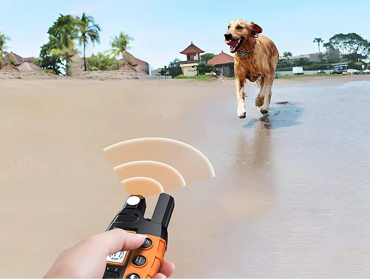 Dog Training Collar Remote Waterproof Rechargeable E-Collar