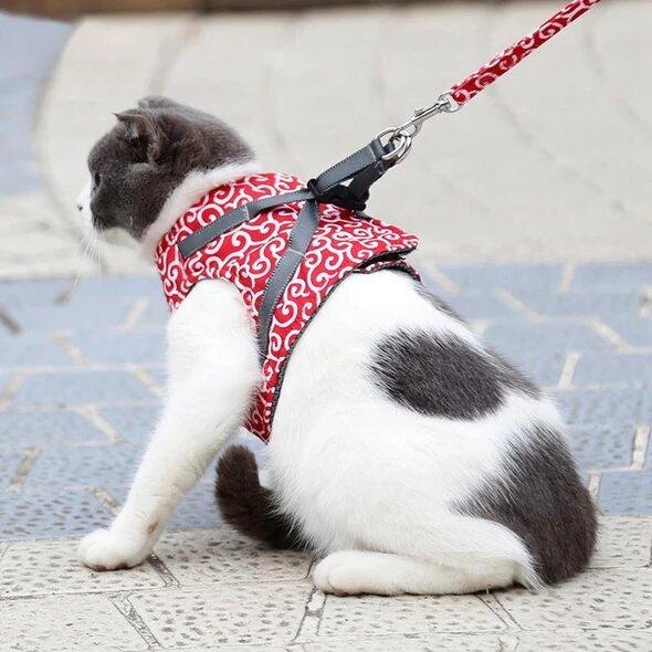 Cat Harness Secure Comfortable