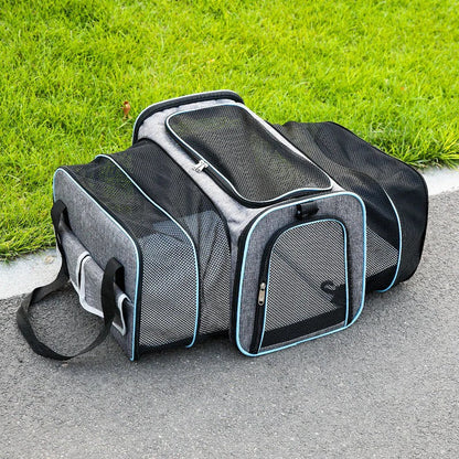 Foldable Pet Carrier Backpack Travel Bag