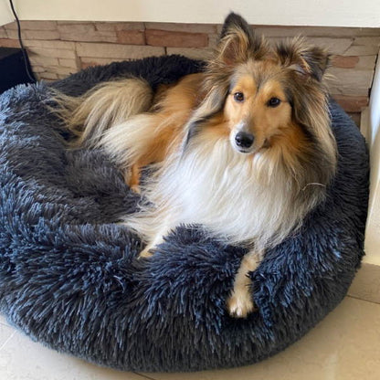 Calming Dog Bed Circular Removable Cover