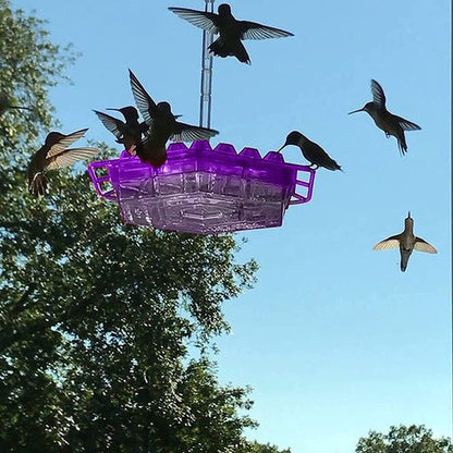 Hummingbird Feeder Hanging Ant Proof Perch Outdoor