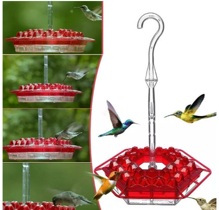 Hummingbird Feeder Hanging Ant Proof Perch Outdoor
