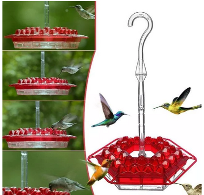 Hummingbird Feeder Hanging Ant Proof Perch Outdoor