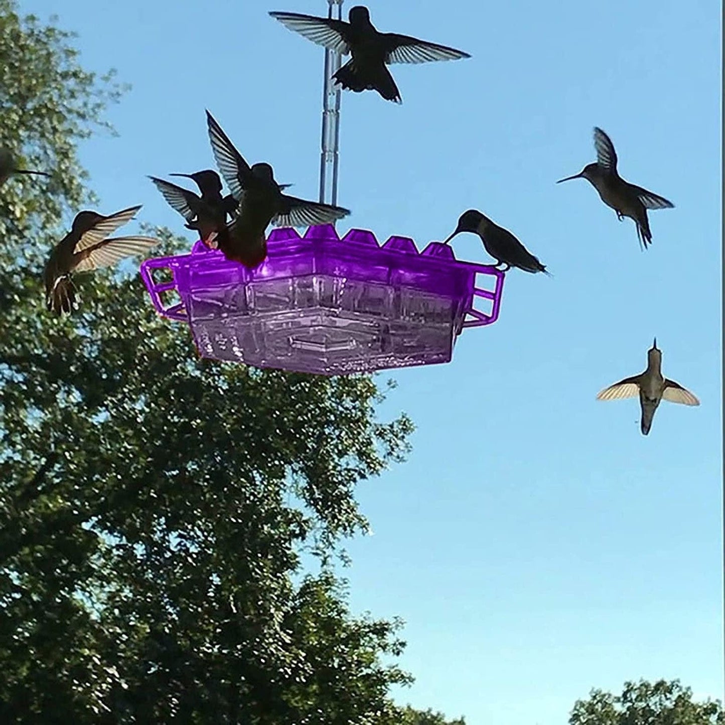 Hummingbird Feeder Hanging Ant Proof Perch Outdoor