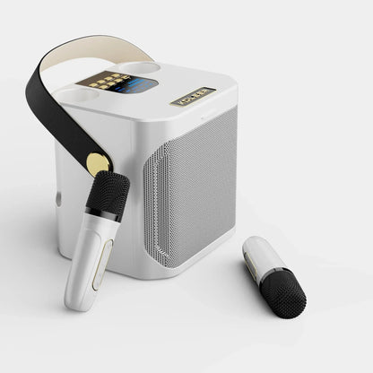 Karaoke Bluetooth Speaker Portable 360 Degree Sound