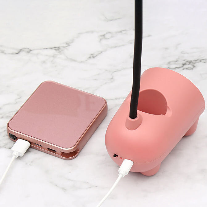 LED Desk Lamp with Pen Holder