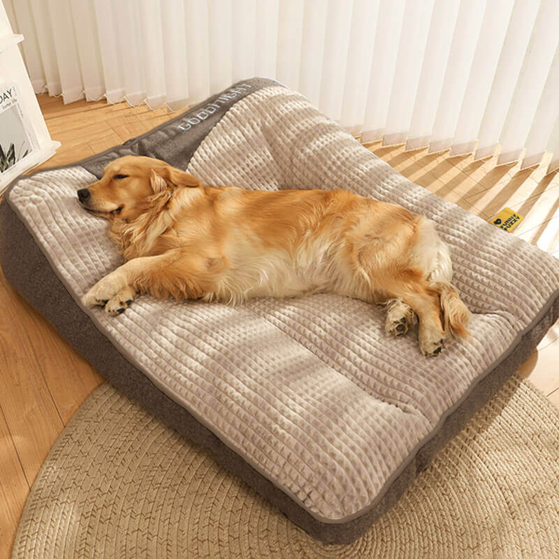 Orthopaedic Dog Bed with Headrest Support