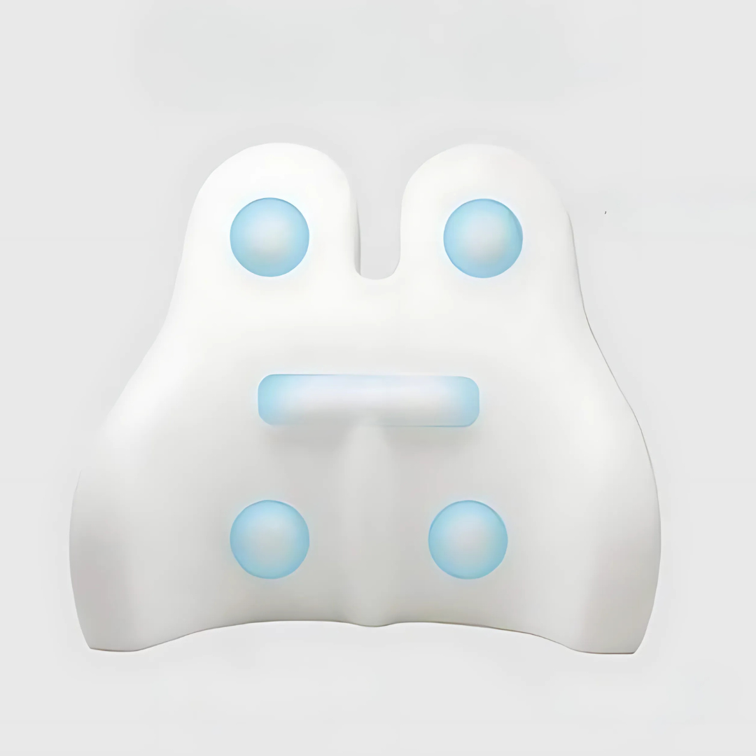 Memory Foam Lumbar Support Cushion