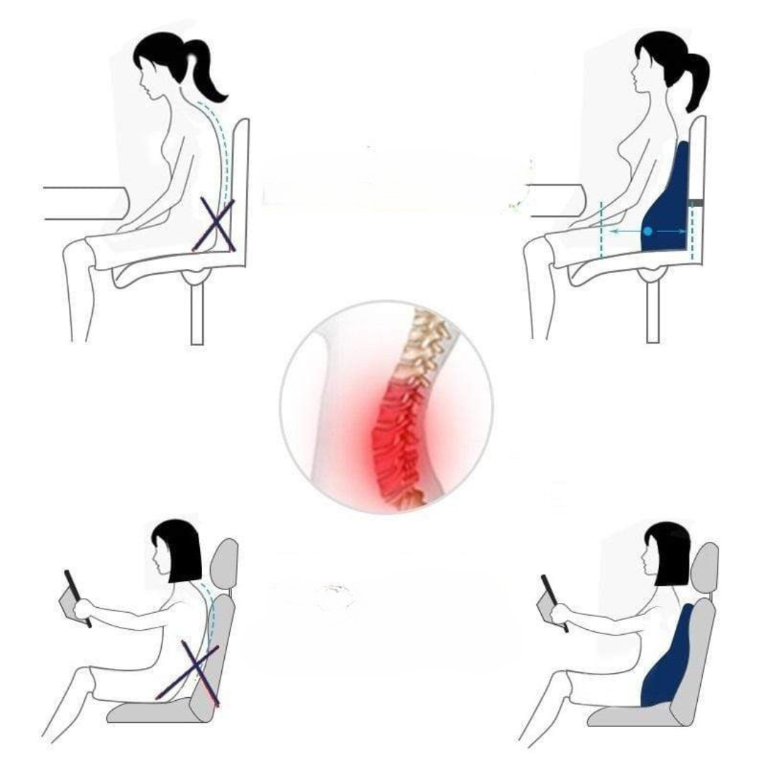 Memory Foam Lumbar Support Cushion