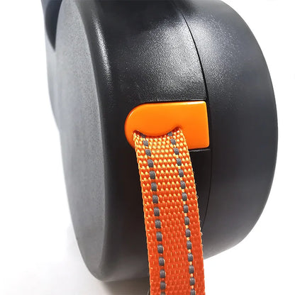 Double Dog Lead with LED Torch