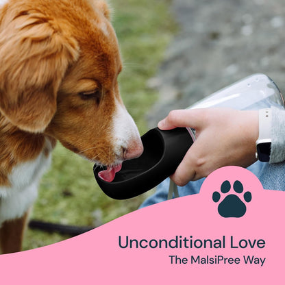 Portable Dog Water Bottle 19 oz