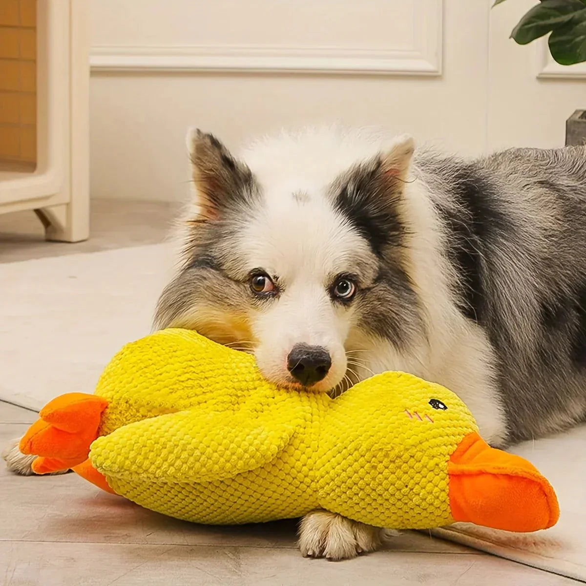 Duck Toy for Dogs